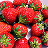 Strawberry avatars