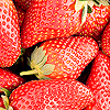 Strawberry avatars