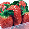 Strawberry avatars