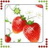 Strawberry avatars