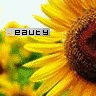 Sunflower avatars