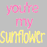 Sunflower avatars