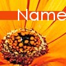 Sunflower avatars