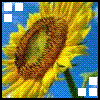 Sunflower avatars