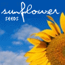 Sunflower avatars