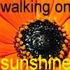 Sunflower avatars