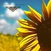 Sunflower avatars