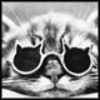 Sunglasses avatars