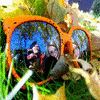 Sunglasses avatars