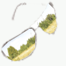 Sunglasses avatars