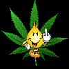 Weed avatars