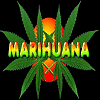 Weed avatars