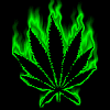 Weed avatars