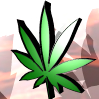 Weed avatars