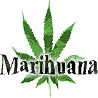 Weed avatars