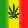 Weed avatars