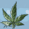 Weed avatars