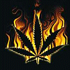 Weed avatars