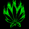 Weed avatars