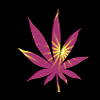 Weed avatars