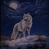 Wolves avatars