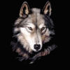 Wolves avatars