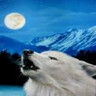 Wolves avatars