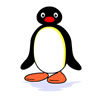 Pingu avatars