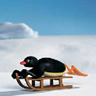 Pingu avatars