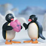 Pingu avatars