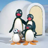 Pingu