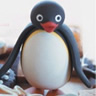 Pingu avatars