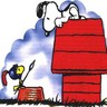 Snoopy avatars