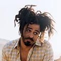 Counting crows