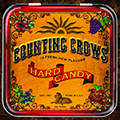 Counting crows avatars