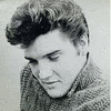 Elvis