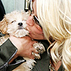 Jessica simpson avatars