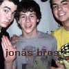 Jonas brothers