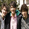 Jonas brothers avatars