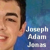 Jonas brothers avatars