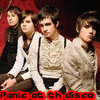 Panic at the disco