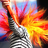 Paramore avatars
