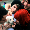 Paramore avatars