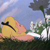 Alice in wonderland avatars