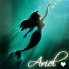 Ariel avatars