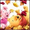 Baby pooh