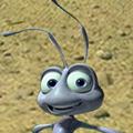 Bugs life