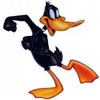 Daffy duck