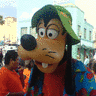 Goofy