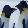 Happy feet avatars